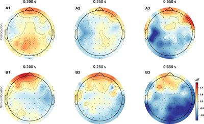 Neural correlates of linguistic collocations during continuous speech perception